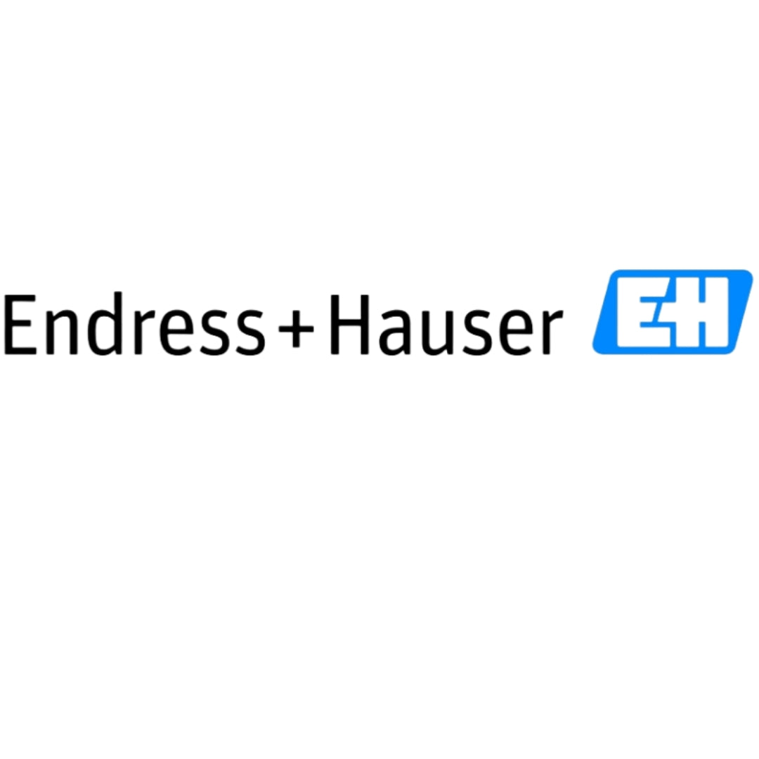 Endress+Hauser